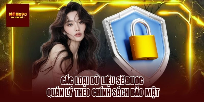 Các loại dữ liệu sẽ được quản lý theo chính sách bảo mật